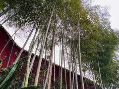 -南漈山