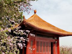 -南沙天后宫景区
