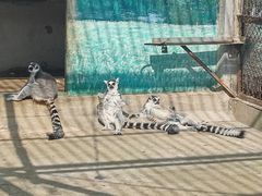 -昆明动物园