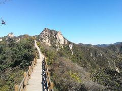 -大岭沟猕猴桃谷风景区