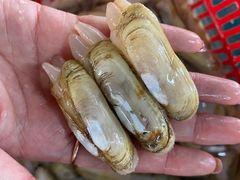 -马王堆海鲜水产市场