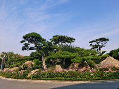 -罗红摄影艺术馆