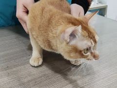 -荔康动物医院(康王北路店)