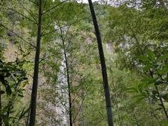 -千泷沟大瀑布旅游区