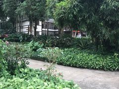 -南宁良凤江国家森林公园