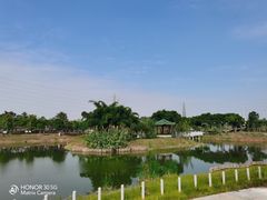 -王借岗森林公园