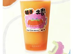 -伏小桃(明瓦廊店)