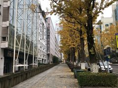 -百林公园-两江幸福广场