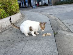 -奥林匹克体育中心游泳馆