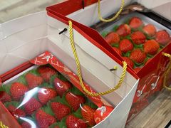 -blt精品超市(高德置地冬广场店)