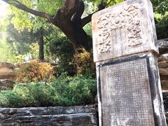 景点-景山公园