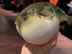 -肆月河豚·淮扬菜·湘菜(华天店)