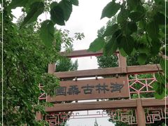 -御林古桑园