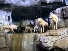 -多彩贵州城极地海洋世界