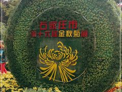 -西清公园