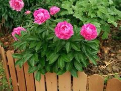 -星美国际影商城(虞景文华店)