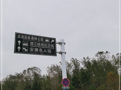 -合肥滨湖国家森林公园