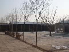 -北京京卫宠物寄养训练中心