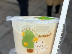 -猫的魔法密林(衣裳街店)
