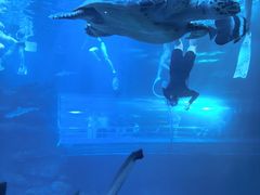 -太平洋海底世界