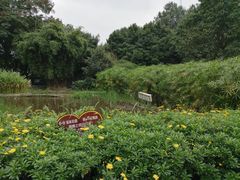 -成都市活水公园