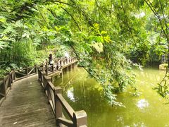 -虞山风景区