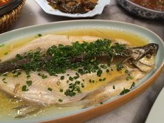 鸡汁太湖白鱼-京城小江南·北京烤鸭·江南土菜·白鱼(中关村店)
