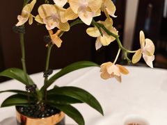 -顺德渔村·岭南一号