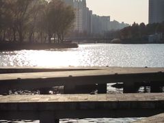 -嘉定凯悦·咖啡厅