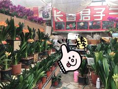 -秦美花卉(天朗·莱茵小城2期店)