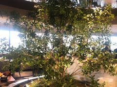 -和苑酒家·一线江景(星寰店)