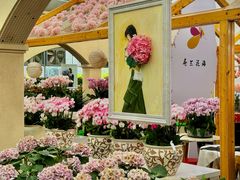 -荷兰花海