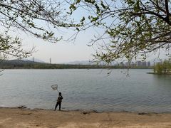 -永定河休闲森林公园