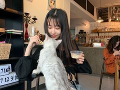 -猫色咖啡·猫咖