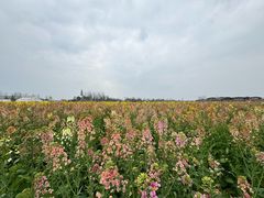 -中国天府农业博览园