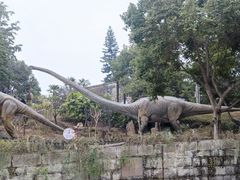 -自贡恐龙博物馆