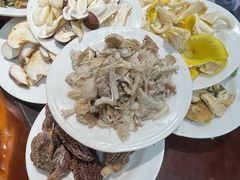 -菌之家·专业纯野生菌火锅·特色炒菌