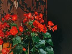 -花间别院(凤凰店)