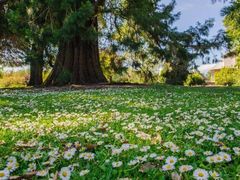 -终南山国家森林公园