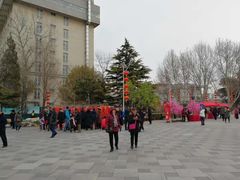 -黄村公园