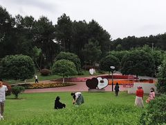 -铁山坪森林公园