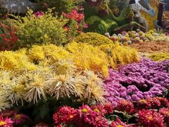 -杭州植物园