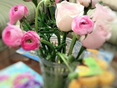 -多乐之日(田林东路店)