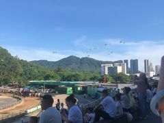 -深圳野生动物园