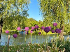 -上海共青森林公园