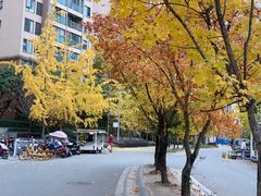 -佘记全家福芋儿鸡(向阳街总店)