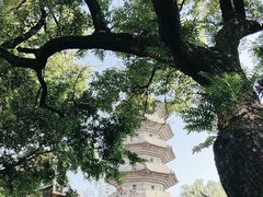 -乌山风景区