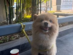 -naraya(玛雅百货店)