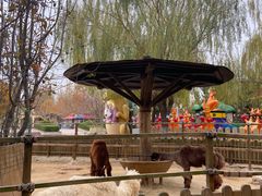 -石家庄市动物园