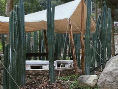 -MOJ coffee(瓯海泽雅水碓坑店)